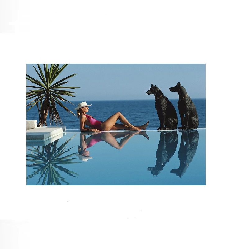 Retro Poolside Host Luxury Lif - Luxury Lifestyle Us avaliação e preço